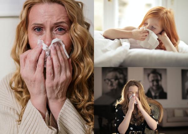 rinita alergica simptome si cauze alergia e pe viata nu se vindeca se trateaza rinita alergica simptome si cauze alergia e pe viata nu se vindeca se trateaza