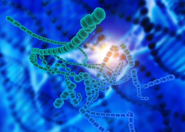 boala pe care o poti face daca mergi in franta nisa streinu cercel boala pe care o poti face daca mergi in franta nisa streinu cercel