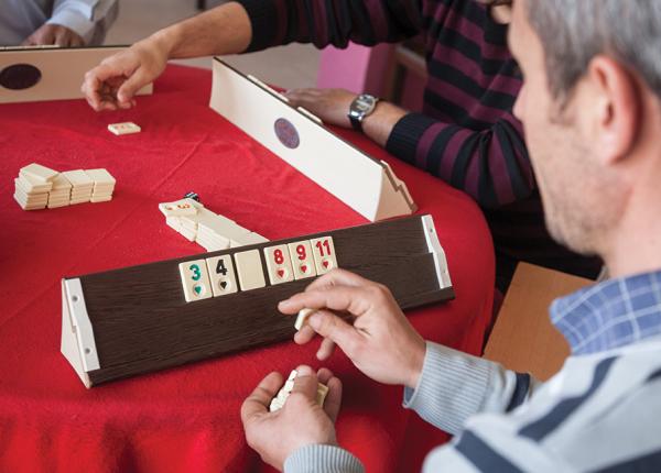 jocuri de masa setul detaliat de reguli pentru remi