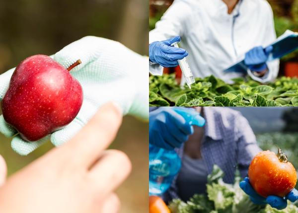 pesticidele din fructe si legume otrava pentru organism