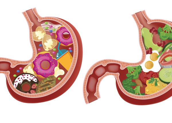 in cate ore se digera carnea cat timp trebuie sa avem intre mese alin popescu