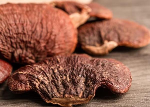 ciupercile reishi noul ingredient de moda care aduce zeci de beneficii