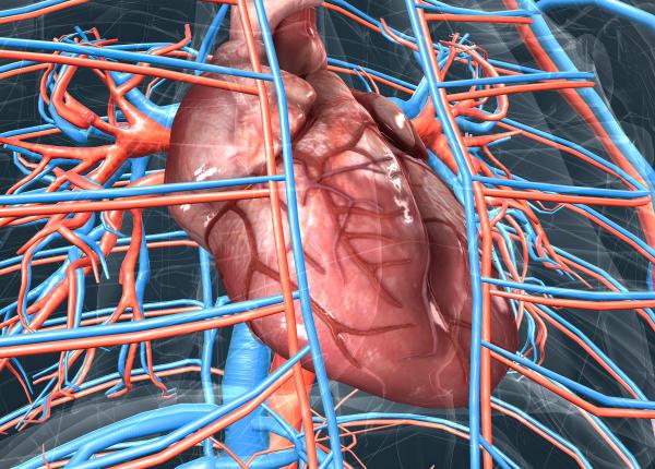 stenoza aortica simptome si testul pe care trebuie sa il faci la 40 de ani sunetul din stetoscop care arata boala valvei aortice stanislav rurac valva se strica in timp stenoza aortica simptome si testul pe care trebuie sa il faci la 40 de ani sunetul din stetoscop care arata boala valvei aortice stanislav rurac valva se strica in timp