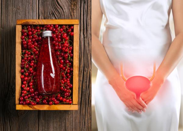 sucul de merisoare eficient in infectiile urinare sucul de merisoare eficient in infectiile urinare