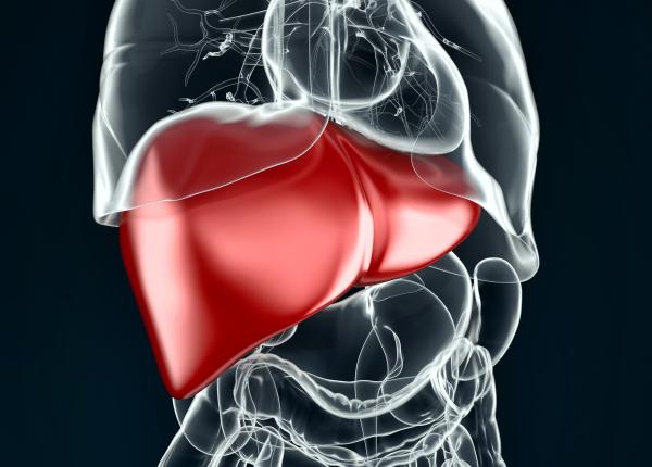 hepatita b cauze simptome tratament hepatita b cauze simptome tratament