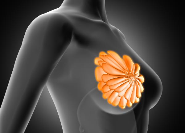 cancer la san mamografie ecografie mamara diferente