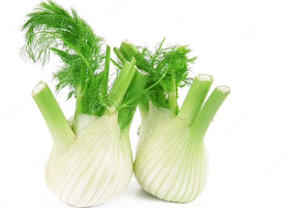 feniculul intareste sistemul nervos si normalizeaza tractul digestiv