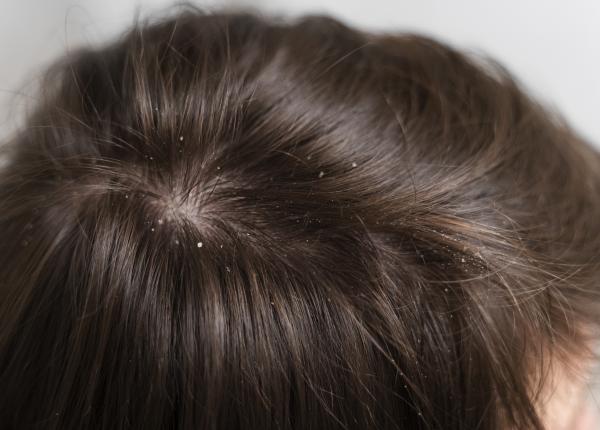 alimentele efect asupra matretii