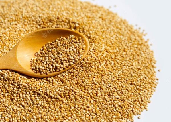 quinoa o sursa buna de antioxidanti
