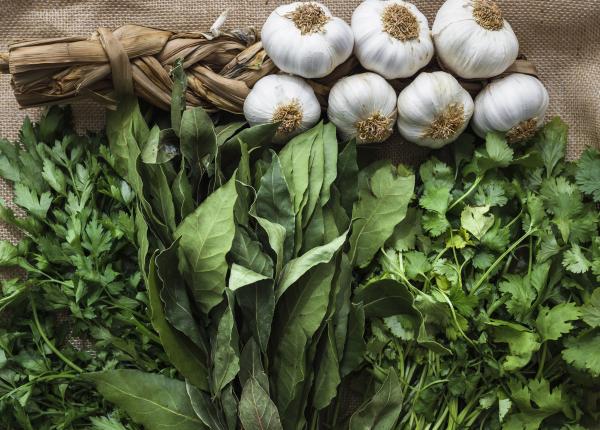 leurda usturoiul ursului prebiotic memorie tuse balonare