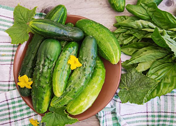 de ce sa mananci castraveti in fiecare zi