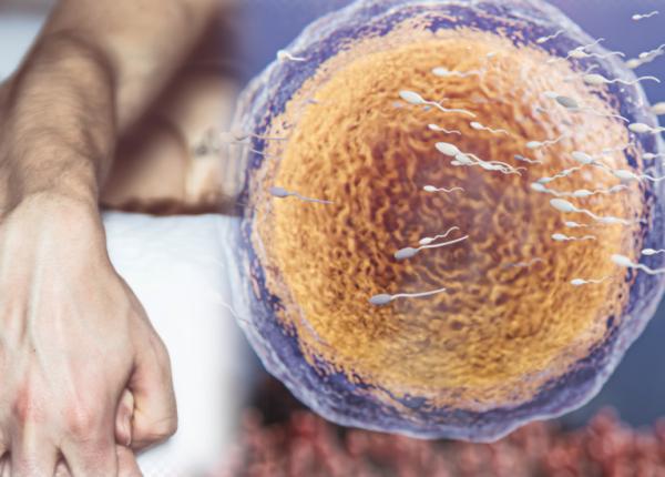 chlamydia simionescu uretrita prostatita leucoree infertilitate chlamydia simionescu uretrita prostatita leucoree infertilitate