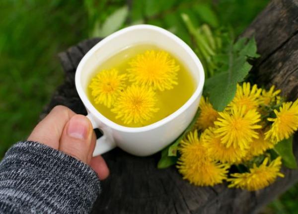 7 beneficii ale ceaiului de papadie sustine sanatatea inimii si a ficatului medic