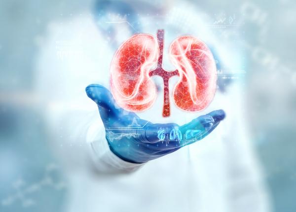 cancer renal cu multiple metastaze vindecat complet cancer renal cu multiple metastaze vindecat complet
