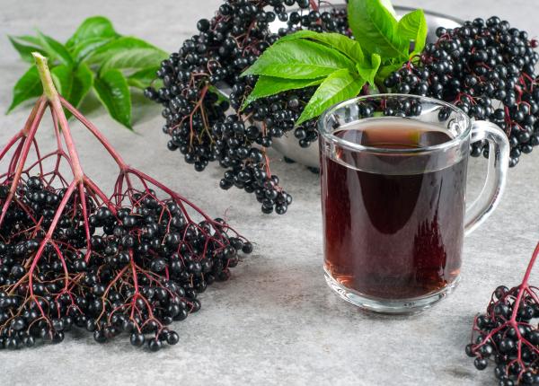 ceaiul de soc beneficii pentru sanatate