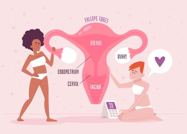 obstructia tubara cauza a infertilitatii feminine obstructia tubara cauza a infertilitatii feminine