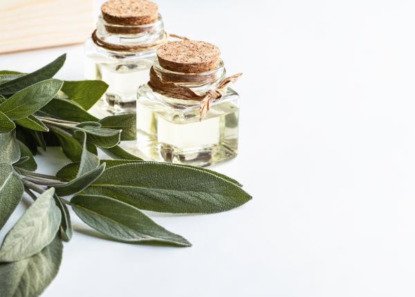 uleiul de salvie benefic impotriva stresului si al cancerului sustine memoria