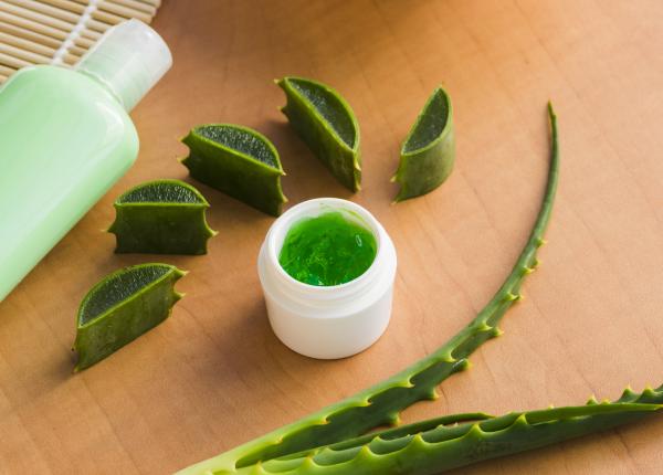 ce trebuie sa stii despre aloe vera