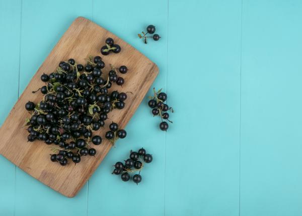 10 beneficii ale coacazelor negre