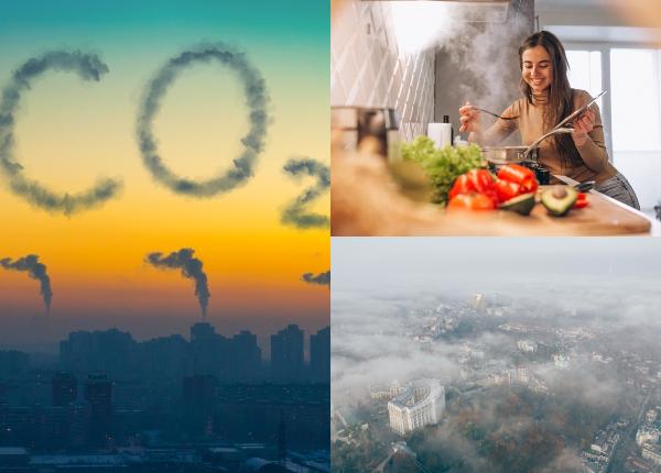 poluarea factor declansator pentru bolile de plamani