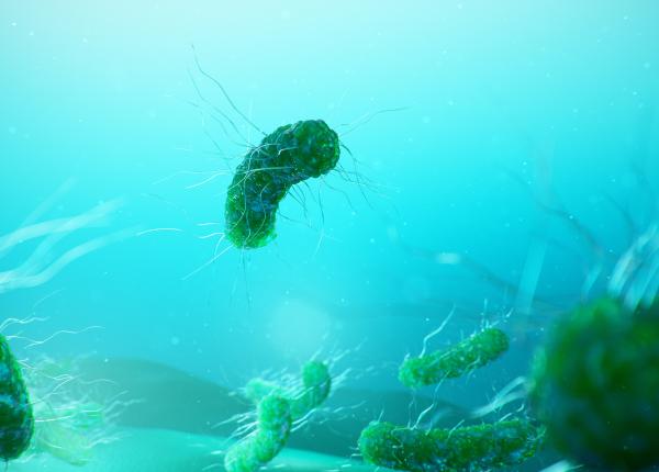 ce trebuie sa stii despre infectiile cu e coli