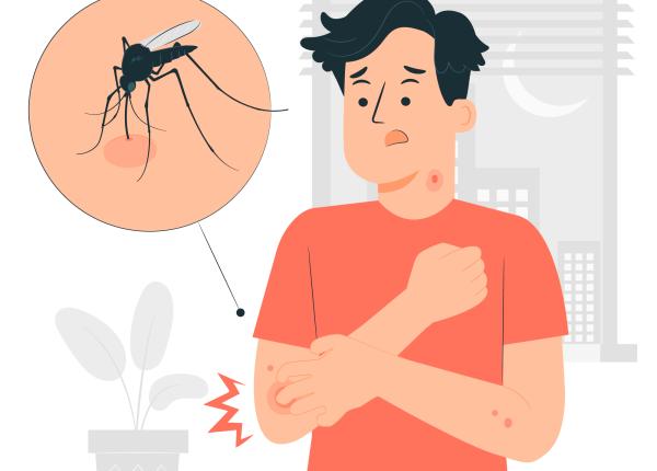 muscaturile de capuse cat de periculoase pot fi ce boli se transmit care sunt simptomele si cum puteti preveni infectarea