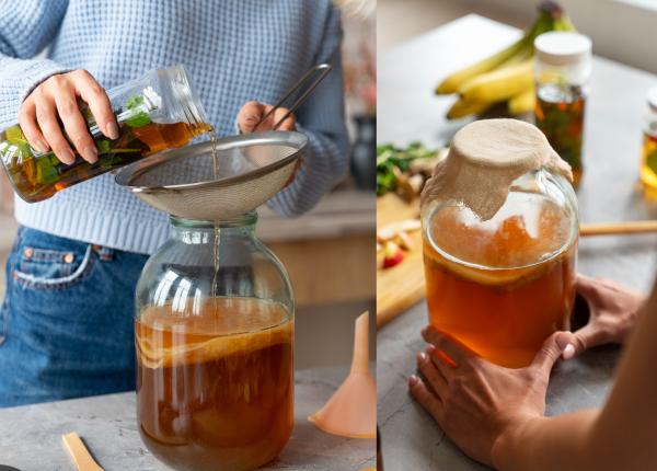 kombucha mihaela bilic apa probiotic sana chefir kombucha mihaela bilic apa probiotic sana chefir