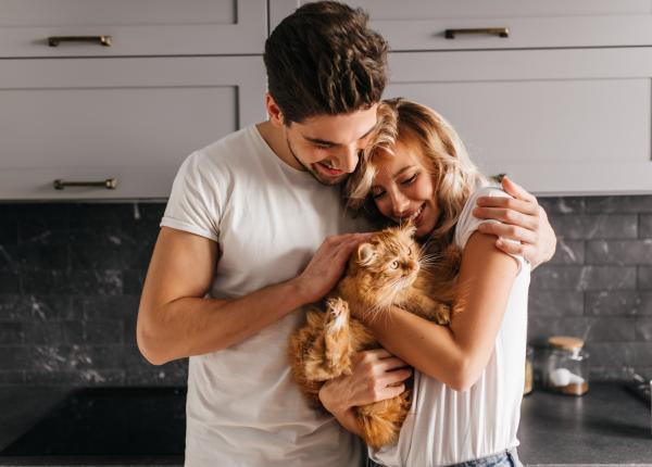 ce efecte au pisicile asupra vietii tale