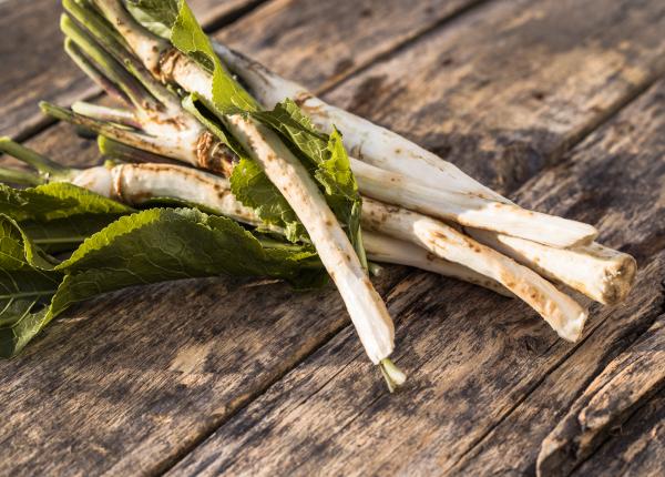 hreanul planta imbunatateste respiratia tuse sinuzita reumatism