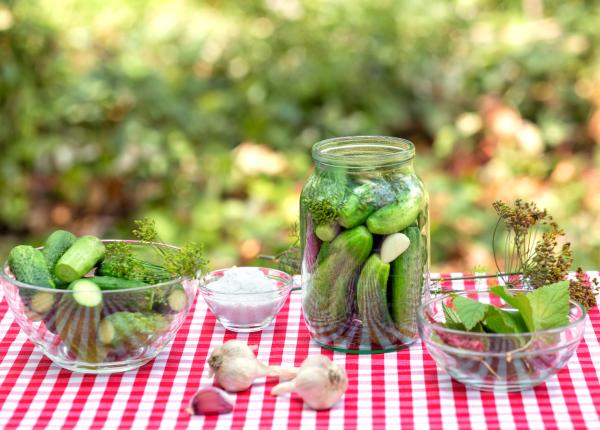 la ce sa ai mare grija cand mananci castraveti covasiti