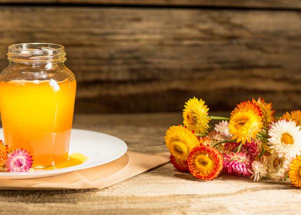 mierea si papadiile aliatii naturii impotriva bolilor