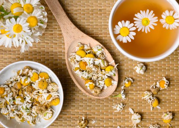 musetelul mai mult decat crezi