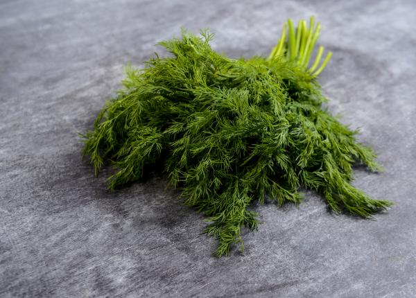 mararul proprietati antioxidante ce alte beneficii are