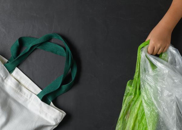 fenomenul punga cu pungi la romani