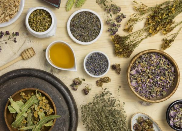 top 10 plante medicinale