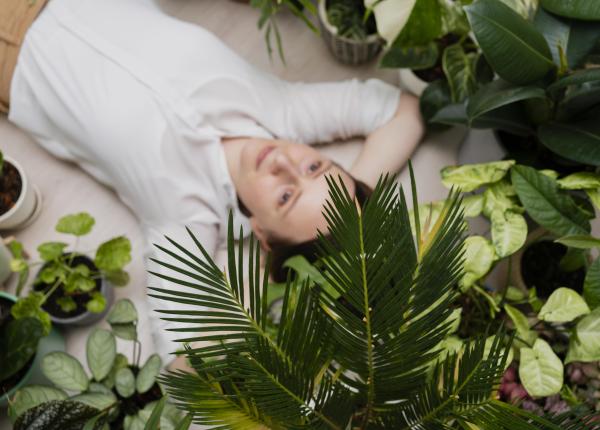 planta care te poate scapa de stres