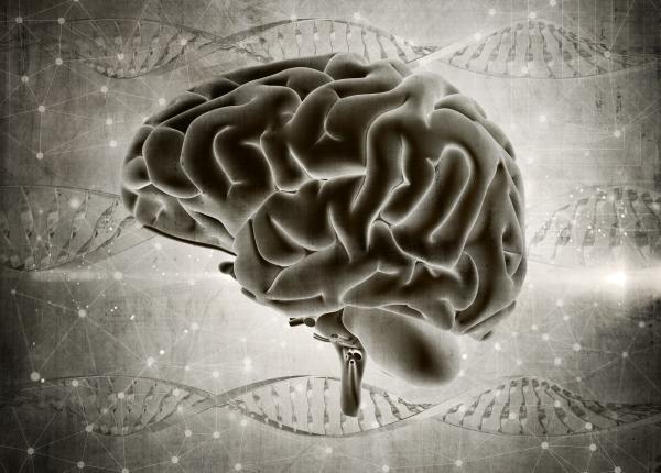 o simpla lovitura la cap factor declansator pentru alzheimer