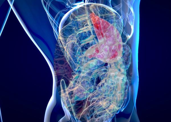 cancerul de pancreas durerile de spate semn al unui cancer agresiv