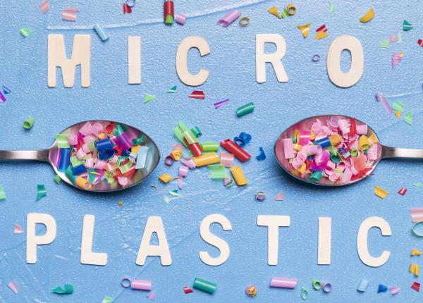 microplasticele profund infiltrate in toate organele