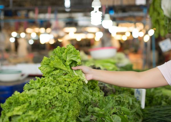 listeria boala grava pe care o poti face din cauza salatei
