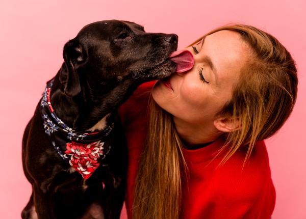 de ce sa nu iti lasi animalul de companie sa te linga