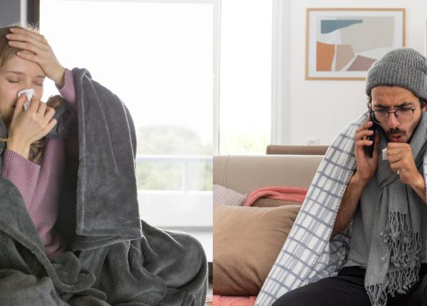 care sunt etapele unei raceli