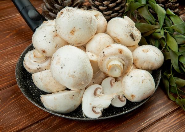 ciupercile champignon beneficii enorme pentru sanatate ciupercile champignon beneficii enorme pentru sanatate