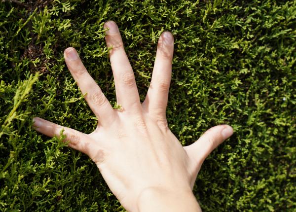 ce sunt degetele hipocratice