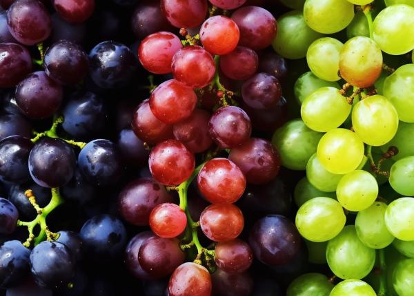 strugurii pot imbunatati vederea la adultii in varsta strugurii pot imbunatati vederea la adultii in varsta