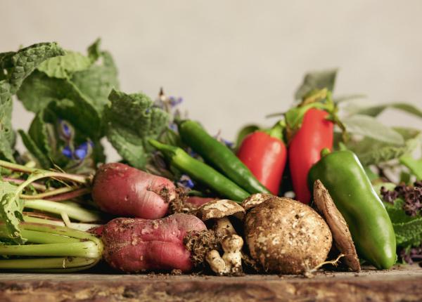 leguma care reduce riscul de ulcer gastric