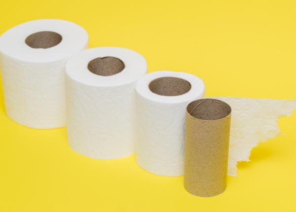 cum trebuie de fapt sa alegi hartia igienica