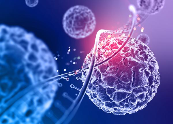 cancerul tot ce trebuie sa stii cancerul tot ce trebuie sa stii