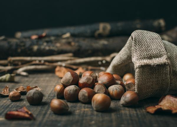 castanele bogate in vitamina c sprijina sistemul imunitar