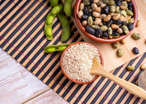 lecitina beneficii riscuri dementa colesterol soia floarea soarelui